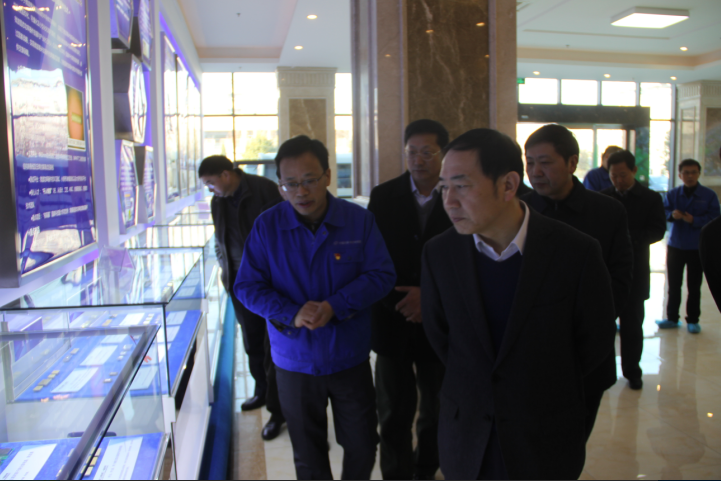汪莹纯到市经开区调研指导MEMS项目